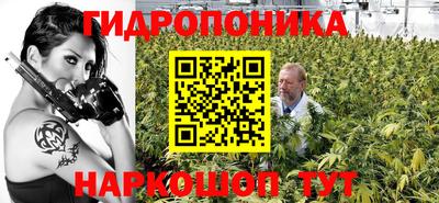 прущие крисы Балаково