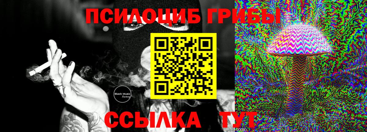 Заводоуковск  Псилоцибиновые грибы Magic Shrooms  как найти   Вход с VPN 